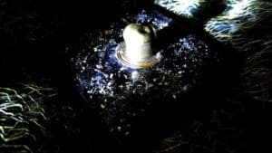 Peter R. Pollmann - 'Philipp.'