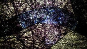 Peter R. Pollmann - 'Lost.'