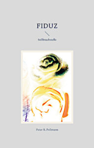 Peter R. Pollmann, FIDUZ - Sollbruchstelle : Das Buch