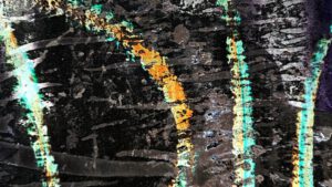 Peter R. Pollmann, galanthus