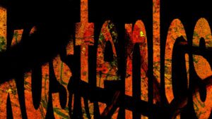 © Peter R. Pollmann