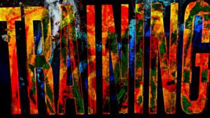 © Peter R. Pollmann