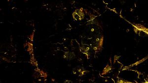 © Peter R. Pollmann