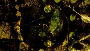 © Peter R. Pollmann